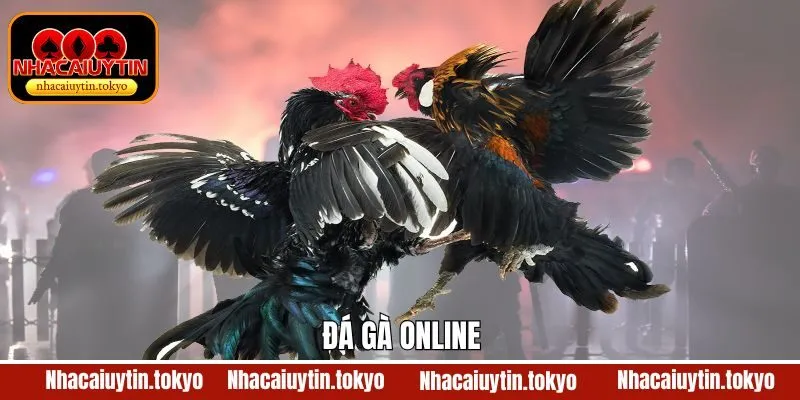 Đá Gà Online - Theo Dõi Màn Đọ Sức Đỉnh Cao Cùng Nhacaiuytin